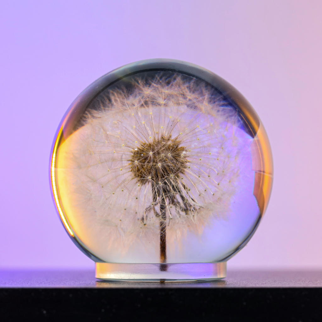 Dandelion Night Light