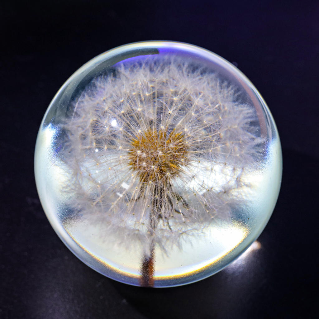 Dandelion Night Light