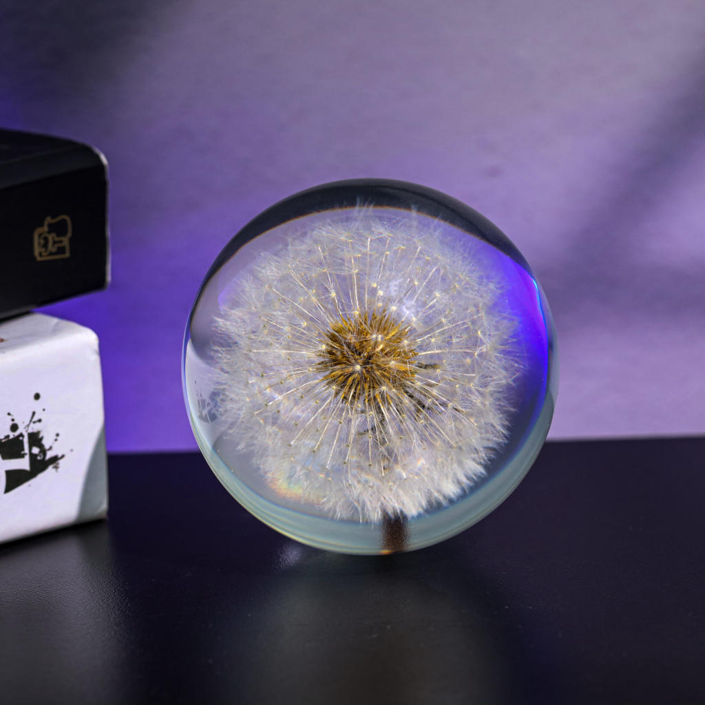 Dandelion Night Light