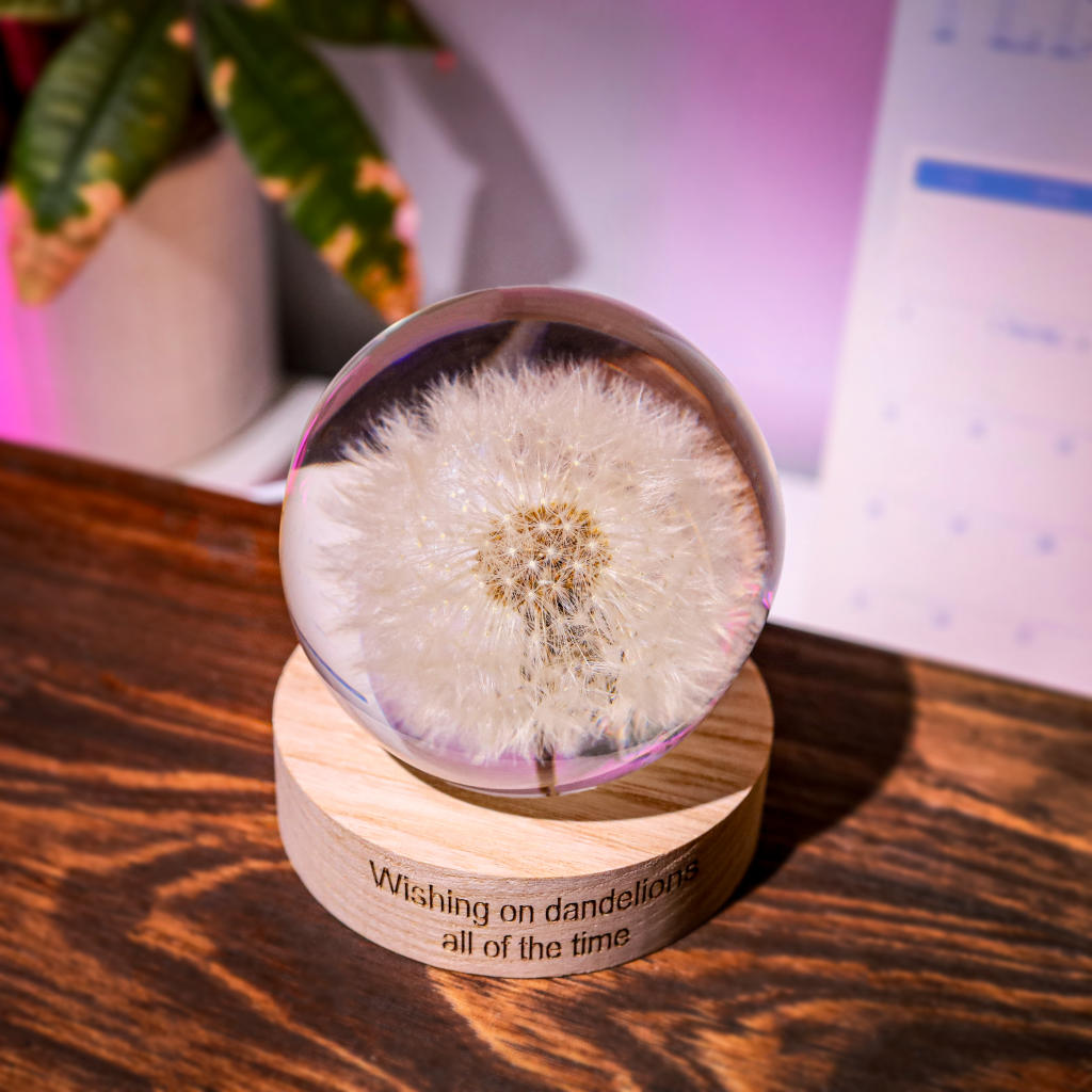 Dandelion Night Light