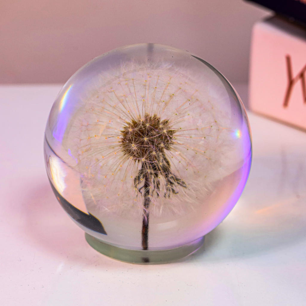 Dandelion Night Light