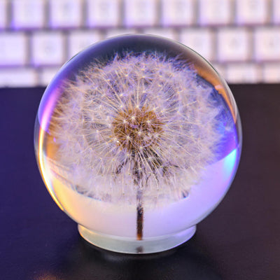 Dandelion Night Light