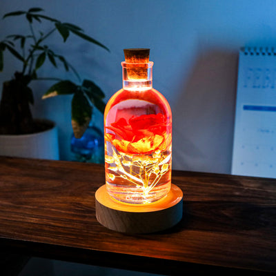 Enchanted Rose night light