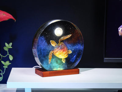 Galaxy Turtle on the Moon Night Light