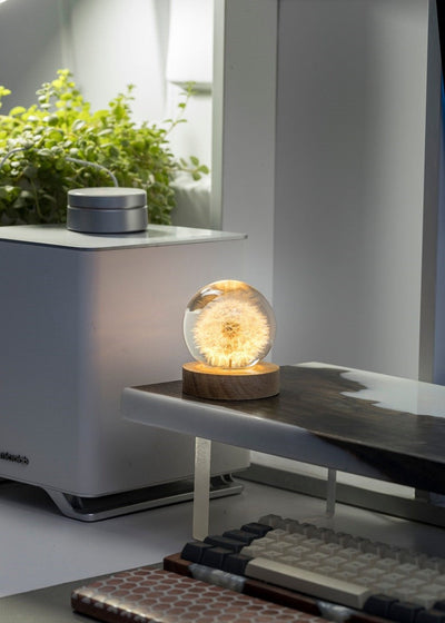 DANDELION / IMMORTAL – EPOXY LAMP