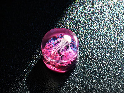 Jellyfish Volume Switch Knobs keycap