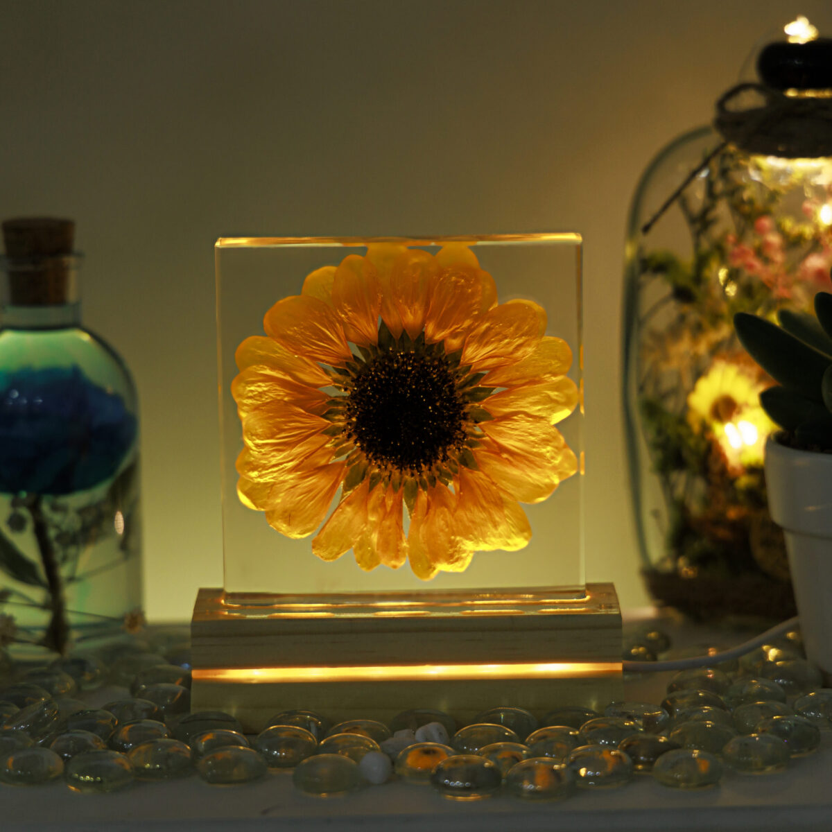 Sunflower Night Light