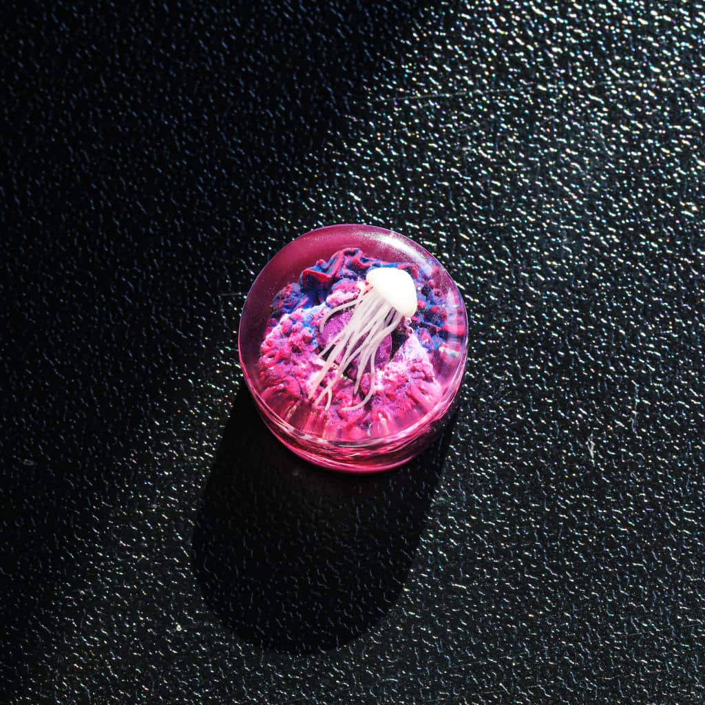 Jellyfish Volume Switch Knobs keycap