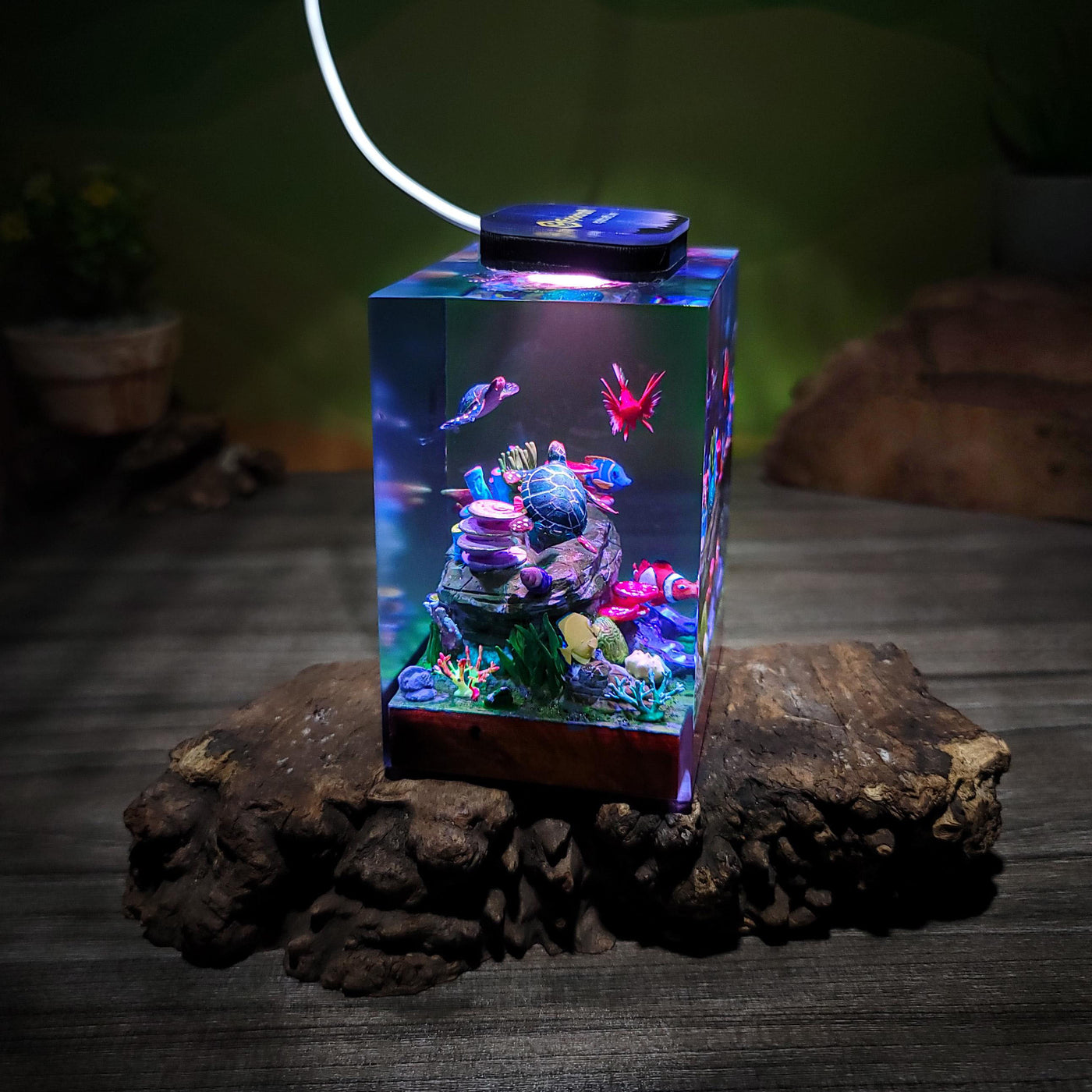 Ocean Coral Reef Night Light