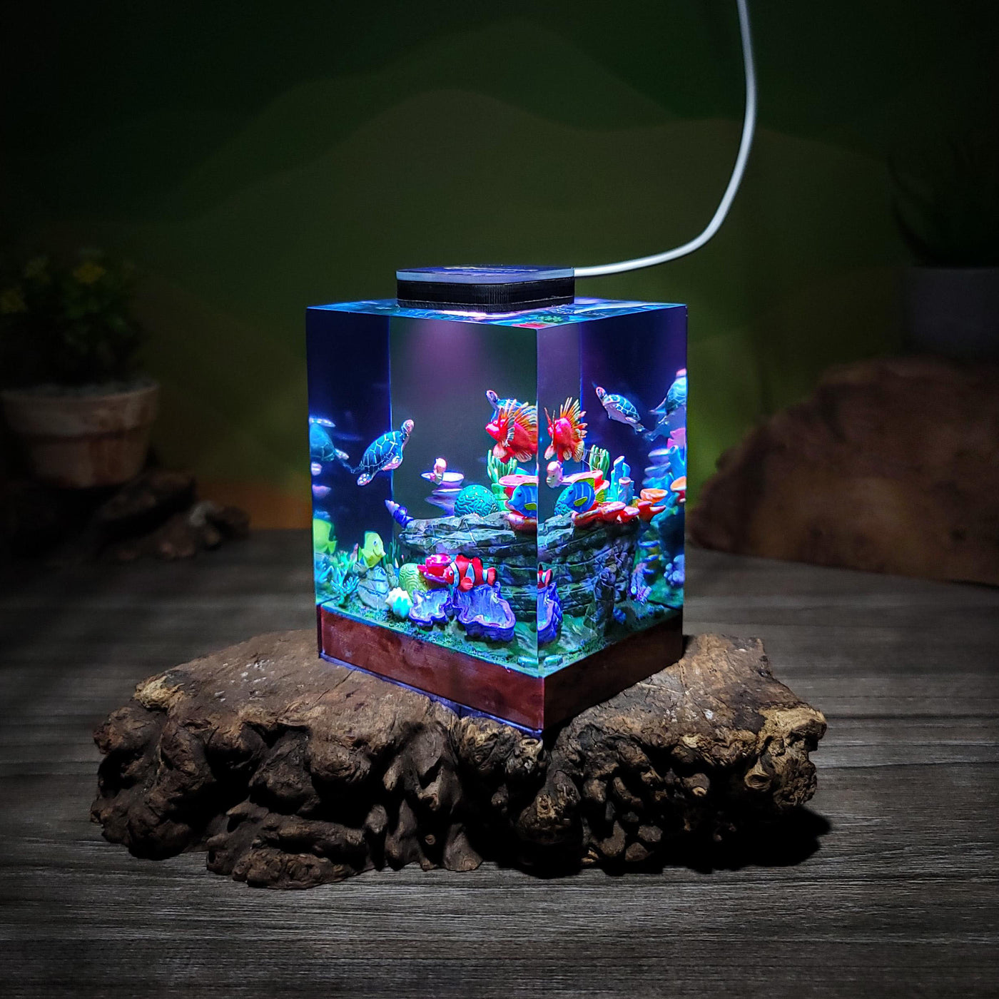 Ocean Coral Reef Night Light